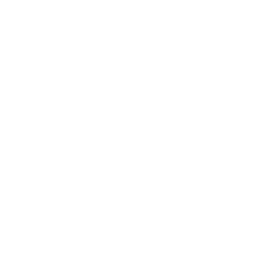 Saj Nation